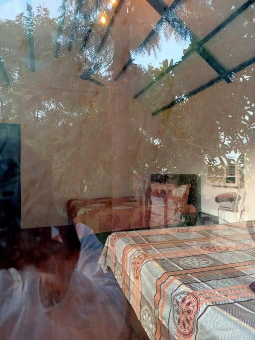 Villa Achal Farm जंगल में मंगल Gurgaon Exterior foto